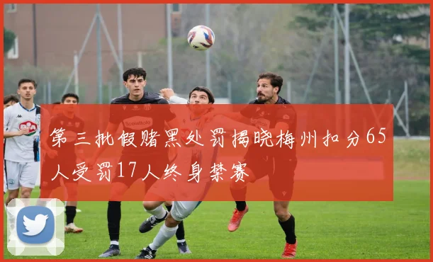 第三批假赌黑处罚揭晓梅州扣分65人受罚17人终身禁赛