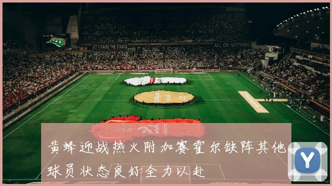 黄蜂迎战热火附加赛霍尔缺阵其他球员状态良好全力以赴