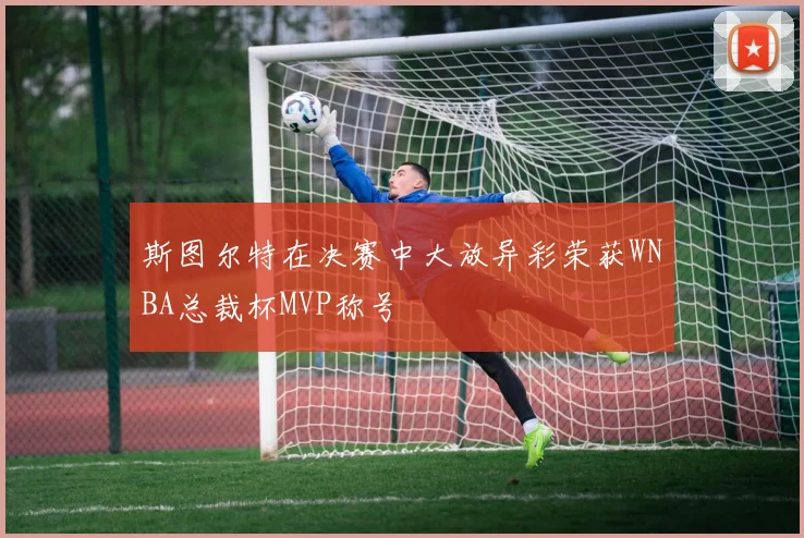 斯图尔特在决赛中大放异彩荣获WNBA总裁杯MVP称号
